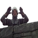 “Your mother was a hamster and your father smelt of elderberries!” Monty Python and the Holy Grail (1975)
